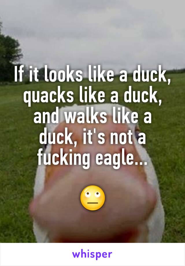 If it looks like a duck, quacks like a duck, and walks like a duck, it's not a fucking eagle...

🙄