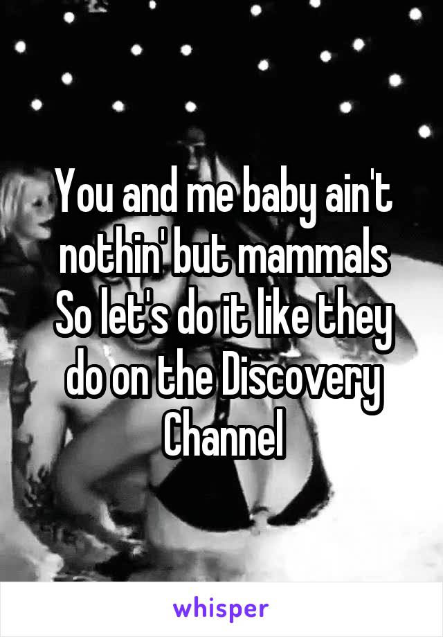 You and me baby ain't nothin' but mammals
So let's do it like they do on the Discovery Channel