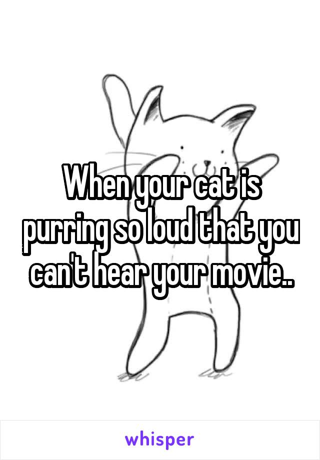When your cat is purring so loud that you can't hear your movie..