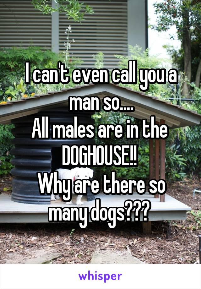 I can't even call you a man so....
All males are in the 
DOGHOUSE!! 
Why are there so many dogs??? 
