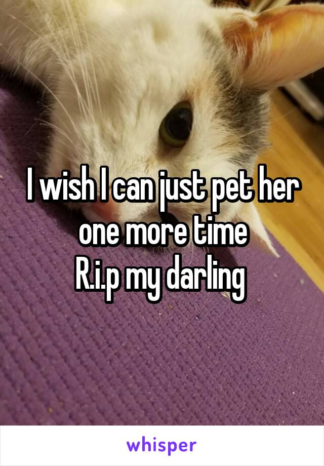 I wish I can just pet her one more time
R.i.p my darling 