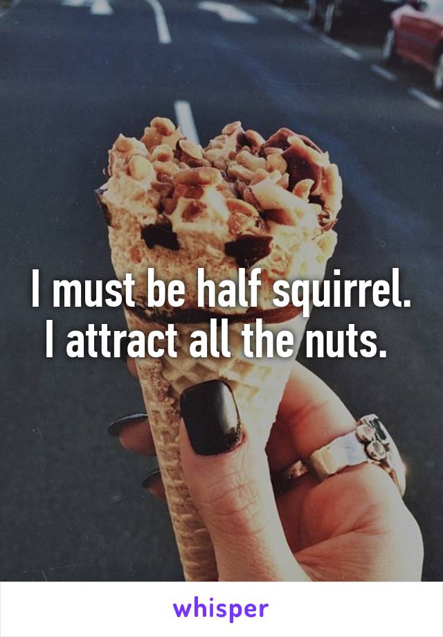 I must be half squirrel. I attract all the nuts. 