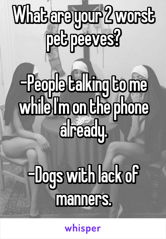 What are your 2 worst pet peeves?

-People talking to me while I'm on the phone already.

-Dogs with lack of manners.

