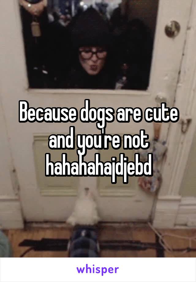 Because dogs are cute and you're not hahahahajdjebd