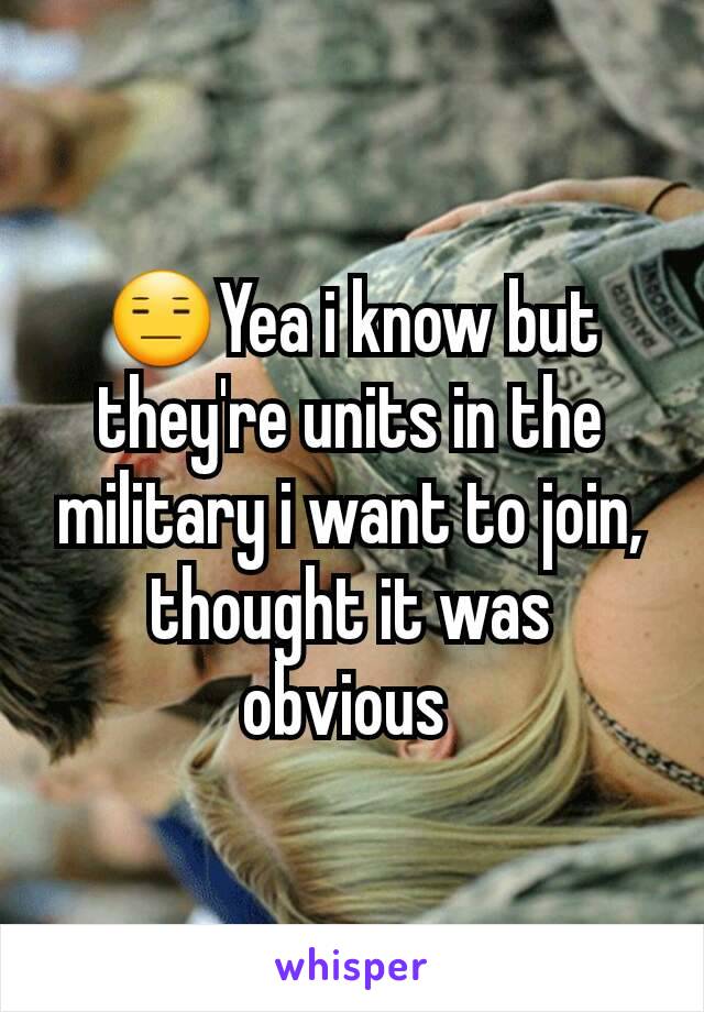 😑Yea i know but they're units in the military i want to join, thought it was obvious 