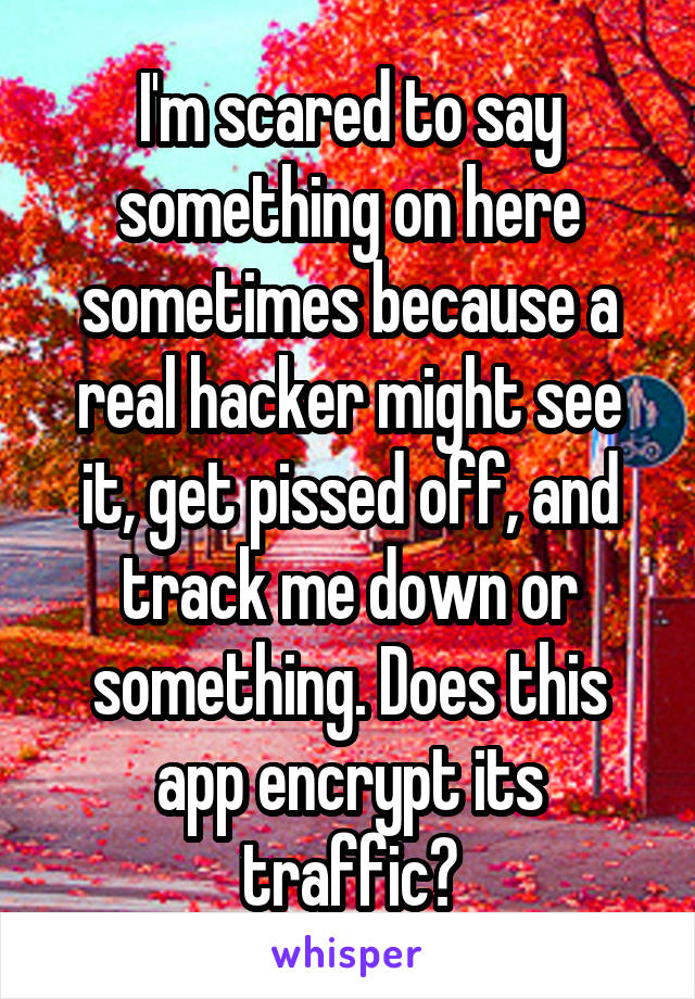 I'm scared to say something on here sometimes because a real hacker might see it, get pissed off, and track me down or something. Does this app encrypt its traffic?