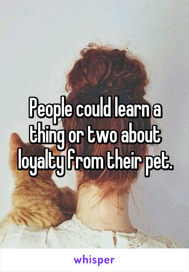 People could learn a thing or two about loyalty from their pet.