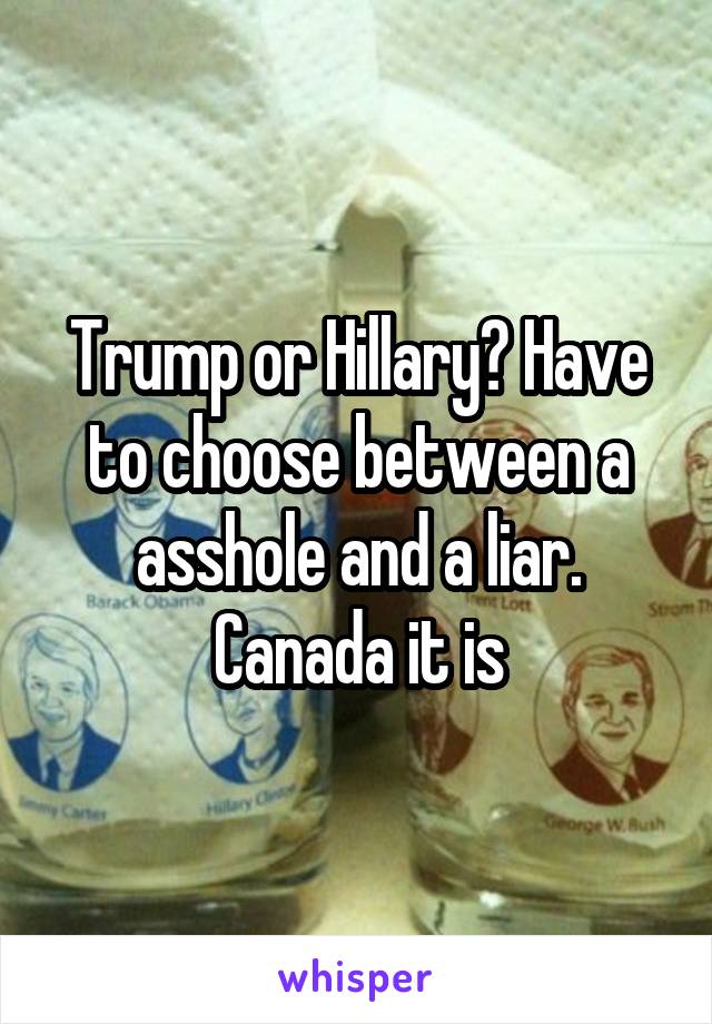 Trump or Hillary? Have to choose between a asshole and a liar. Canada it is