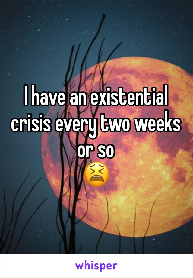 I have an existential crisis every two weeks or so 
😫