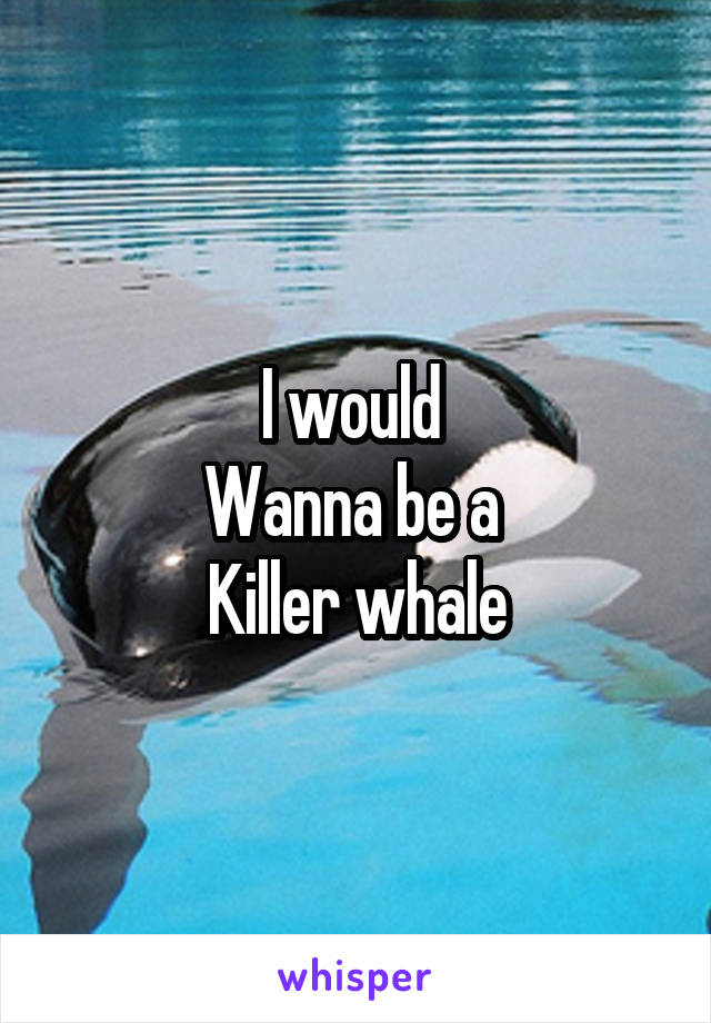 I would 
Wanna be a 
Killer whale