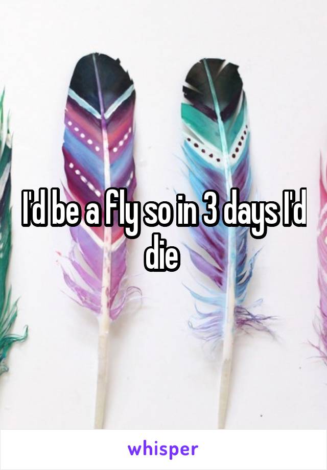 I'd be a fly so in 3 days I'd die 