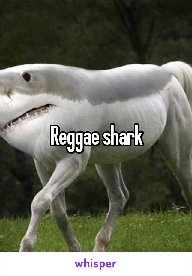 Reggae shark