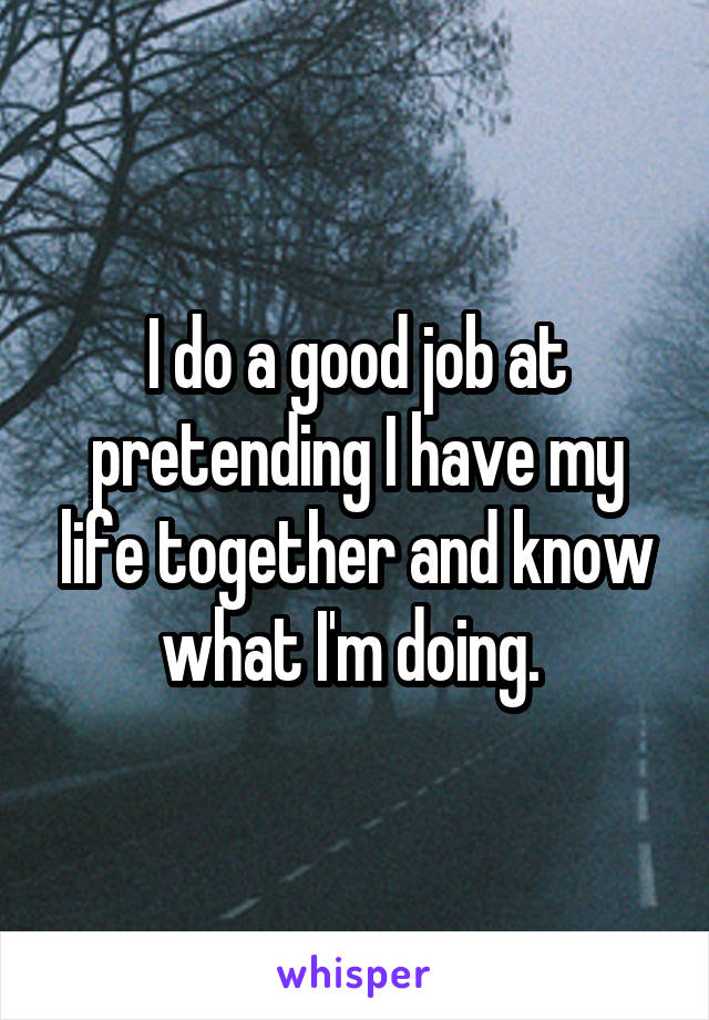 I do a good job at pretending I have my life together and know what I'm doing. 