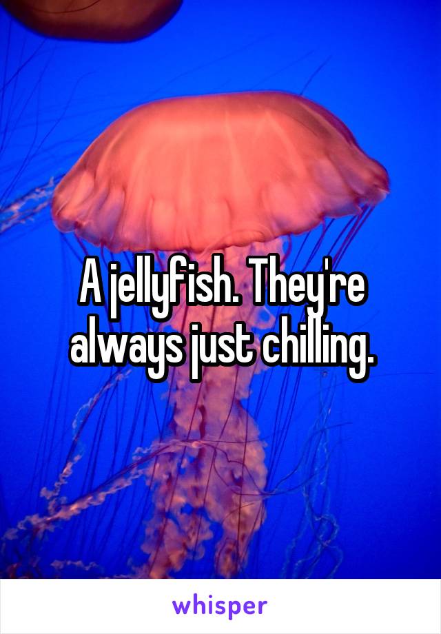 A jellyfish. They're always just chilling.