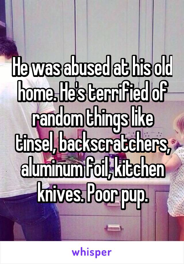 He was abused at his old home. He's terrified of random things like tinsel, backscratchers, aluminum foil, kitchen knives. Poor pup.