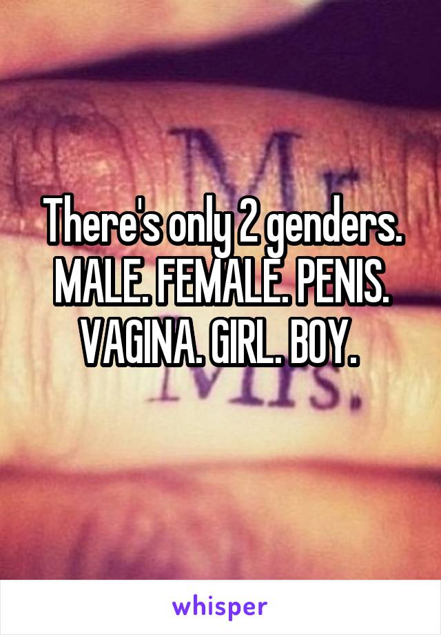 There's only 2 genders. MALE. FEMALE. PENIS. VAGINA. GIRL. BOY. 
