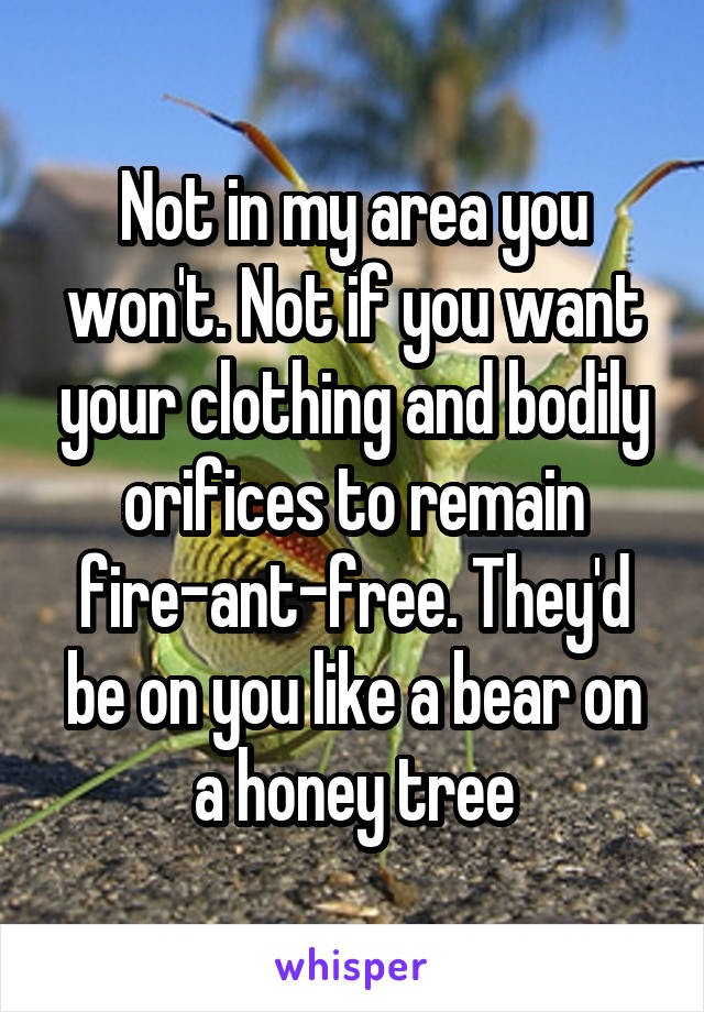 Not in my area you won't. Not if you want your clothing and bodily orifices to remain fire-ant-free. They'd be on you like a bear on a honey tree