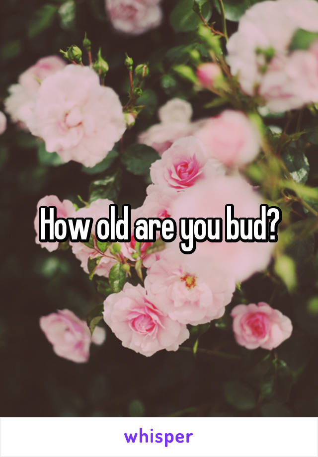 How old are you bud?
