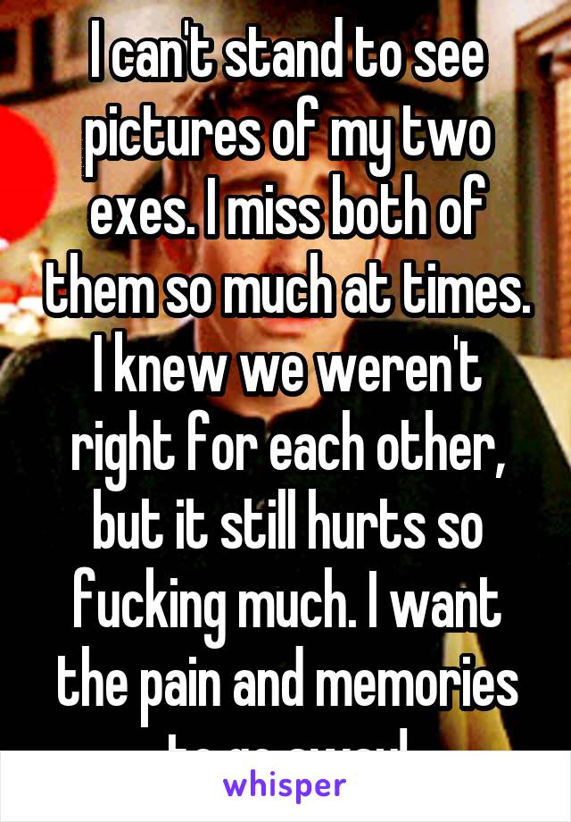 I can't stand to see pictures of my two exes. I miss both of them so much at times. I knew we weren't right for each other, but it still hurts so fucking much. I want the pain and memories to go away!