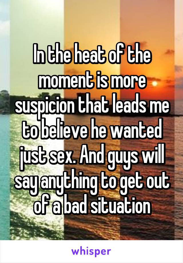 In the heat of the moment is more suspicion that leads me to believe he wanted just sex. And guys will say anything to get out of a bad situation