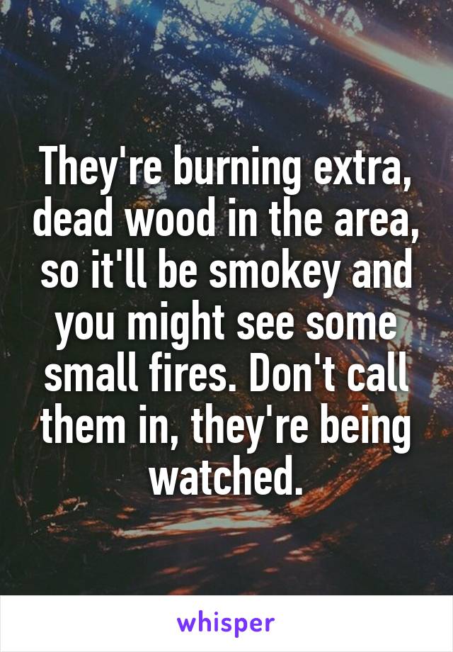 They're burning extra, dead wood in the area, so it'll be smokey and you might see some small fires. Don't call them in, they're being watched.