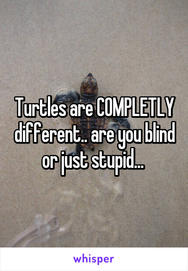 Turtles are COMPLETLY different.. are you blind or just stupid... 