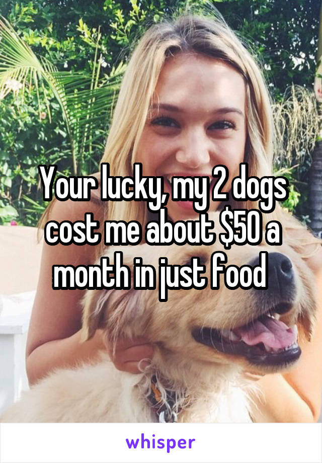 Your lucky, my 2 dogs cost me about $50 a month in just food 