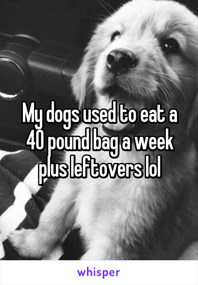 My dogs used to eat a 40 pound bag a week plus leftovers lol