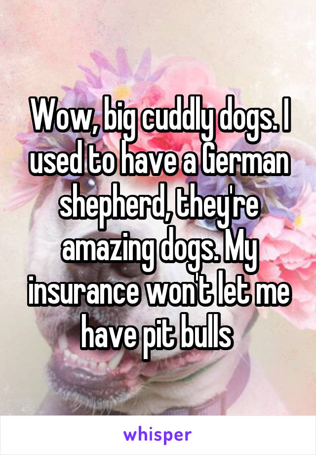 Wow, big cuddly dogs. I used to have a German shepherd, they're amazing dogs. My insurance won't let me have pit bulls 