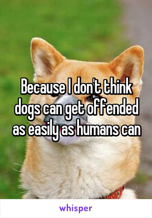 Because I don't think dogs can get offended as easily as humans can