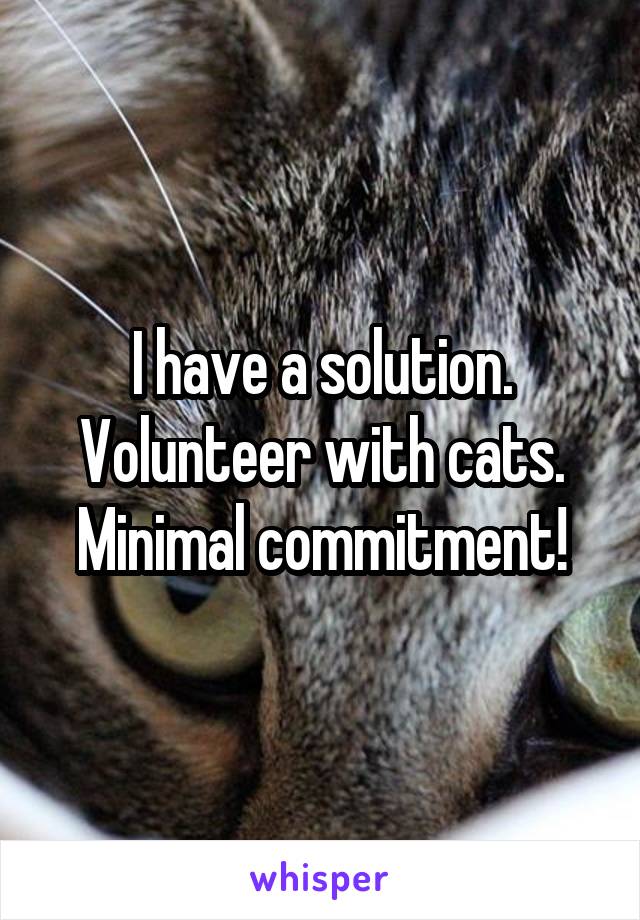 I have a solution. Volunteer with cats. Minimal commitment!