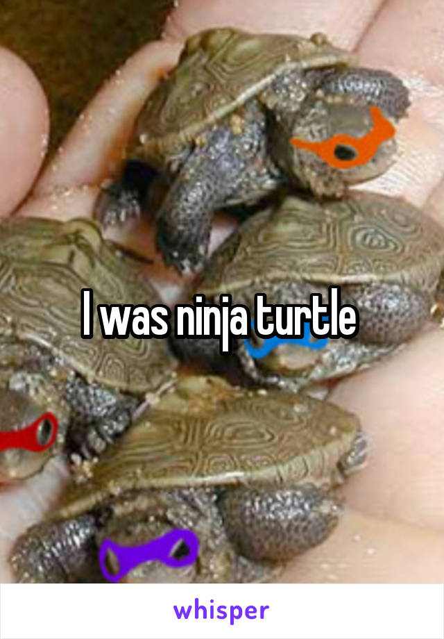 I was ninja turtle 