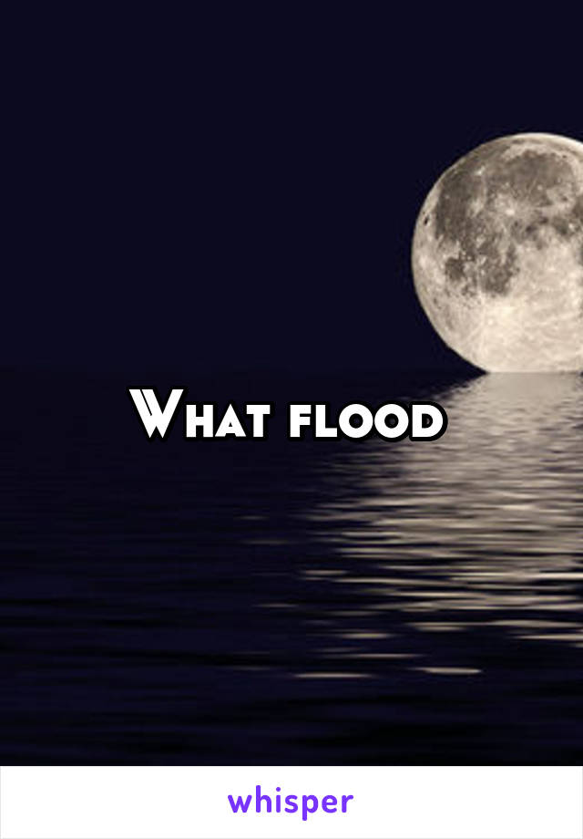 What flood 