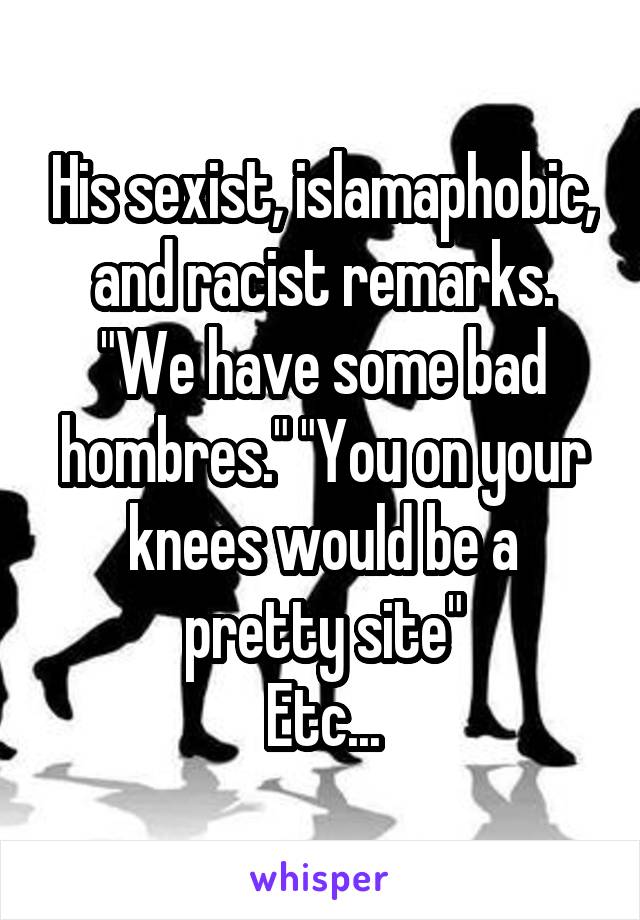 His sexist, islamaphobic, and racist remarks. "We have some bad hombres." "You on your knees would be a pretty site"
Etc...