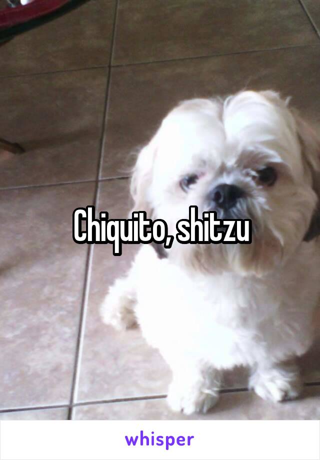 Chiquito, shitzu