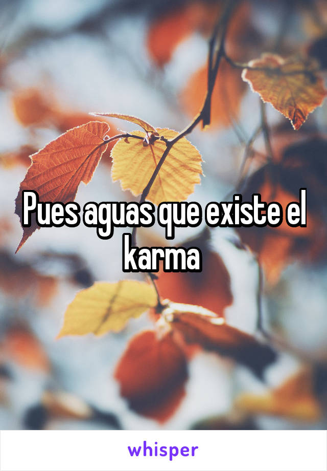 Pues aguas que existe el karma 