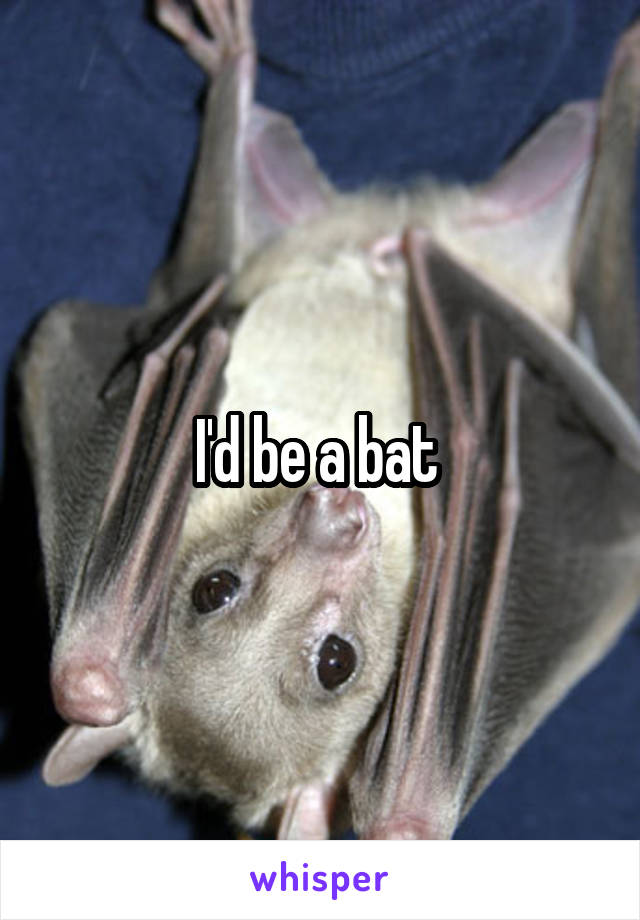 I'd be a bat 