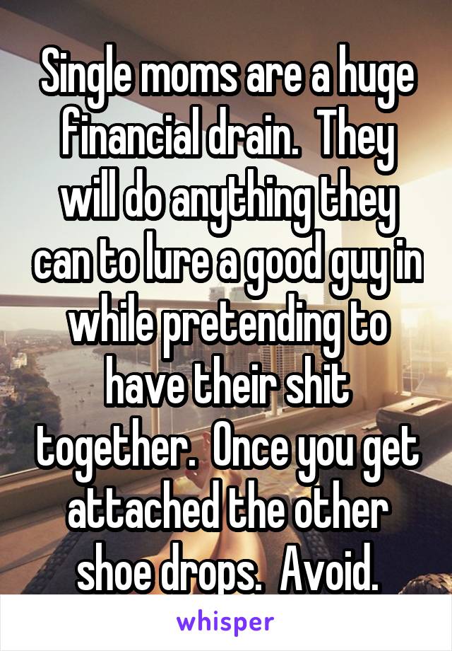 Single moms are a huge financial drain.  They will do anything they can to lure a good guy in while pretending to have their shit together.  Once you get attached the other shoe drops.  Avoid.