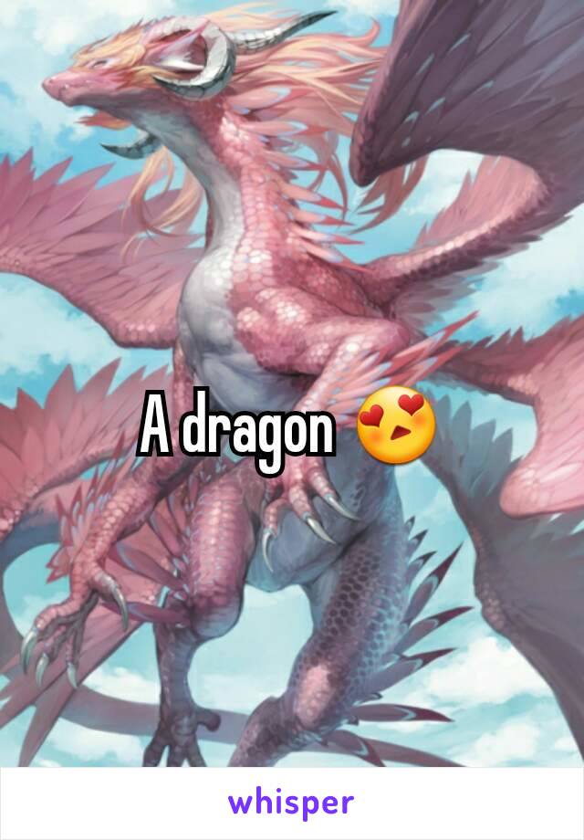 A dragon 😍