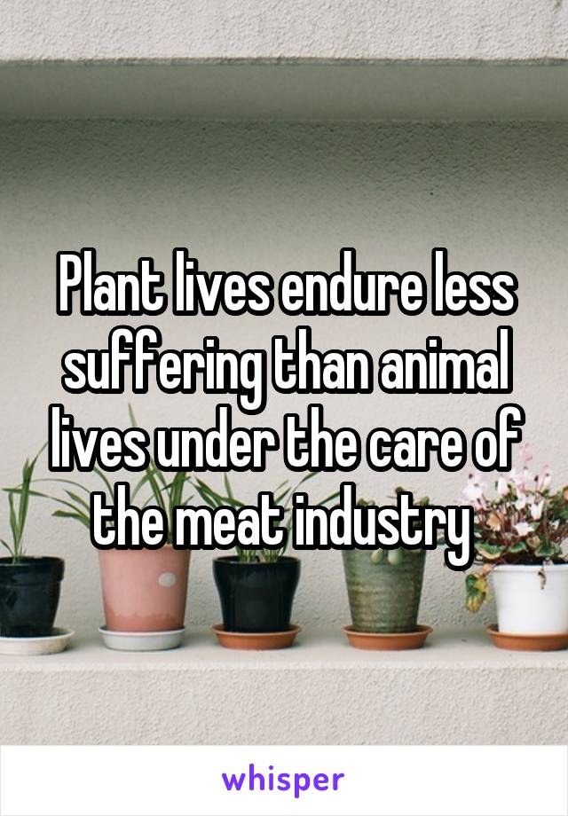 Plant lives endure less suffering than animal lives under the care of the meat industry 