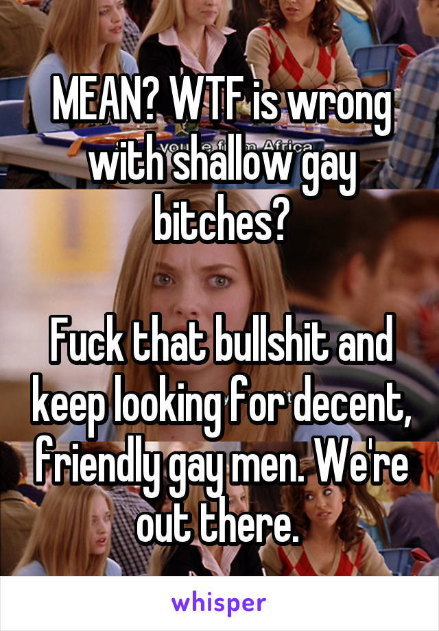 MEAN? WTF is wrong with shallow gay bitches?

Fuck that bullshit and keep looking for decent, friendly gay men. We're out there. 