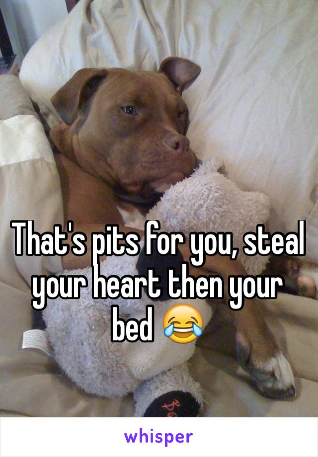 That's pits for you, steal your heart then your bed 😂