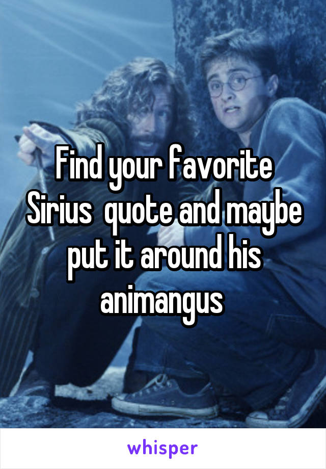 Find your favorite Sirius  quote and maybe put it around his animangus 