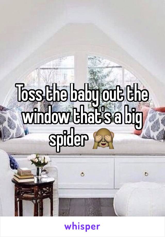Toss the baby out the window that's a big spider 🙈