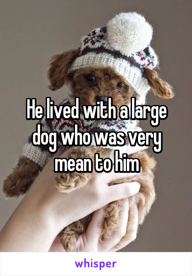 He lived with a large dog who was very mean to him