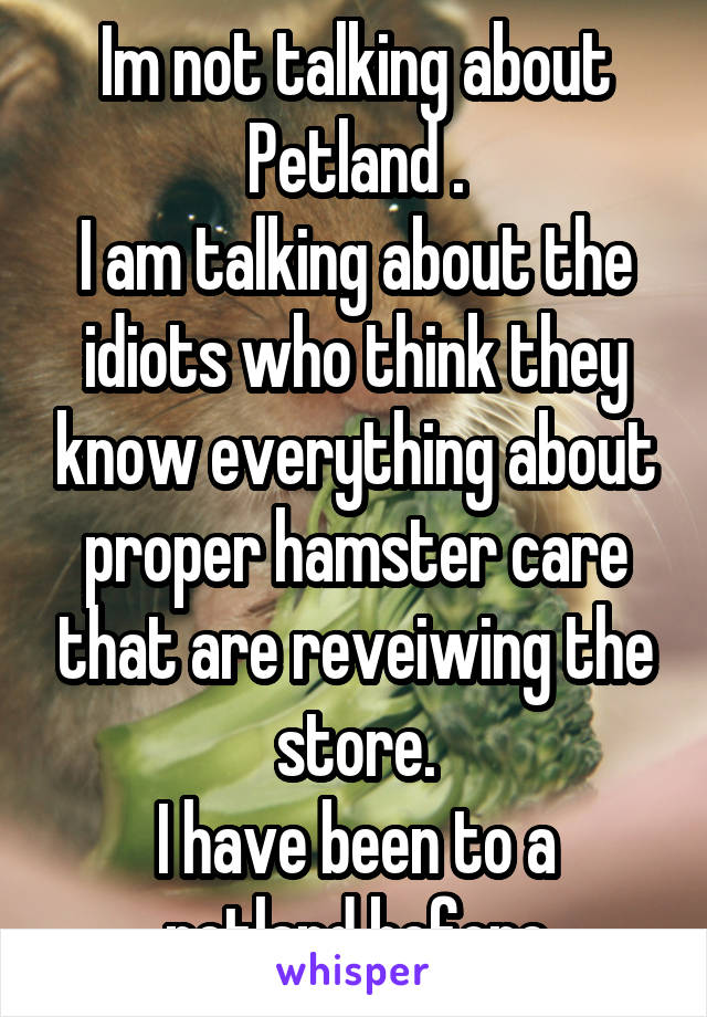 Im not talking about Petland .
I am talking about the idiots who think they know everything about proper hamster care that are reveiwing the store.
I have been to a petland before