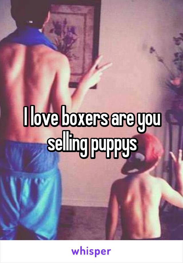 I love boxers are you selling puppys