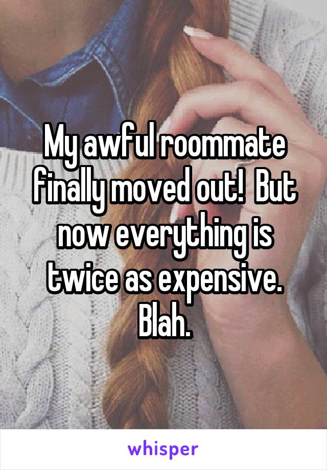 My awful roommate finally moved out!  But now everything is twice as expensive. Blah.