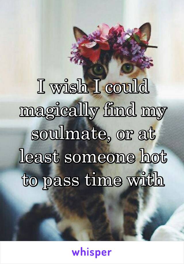 I wish I could magically find my soulmate, or at least someone hot to pass time with