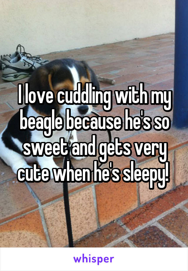 I love cuddling with my beagle because he's so sweet and gets very cute when he's sleepy! 